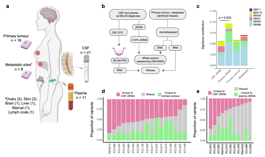 Nature子刊：患者來源的類器官，為乳腺癌腦轉移帶來新見解
