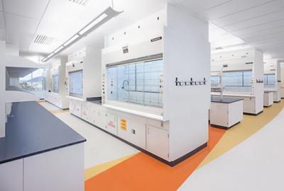 市場監管總局辦公廳關于打擊食品中非法添加比沙可啶及其系列衍生物違法行為的通知